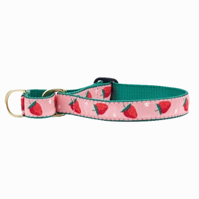 Martingale Collar | Strawberry Fields