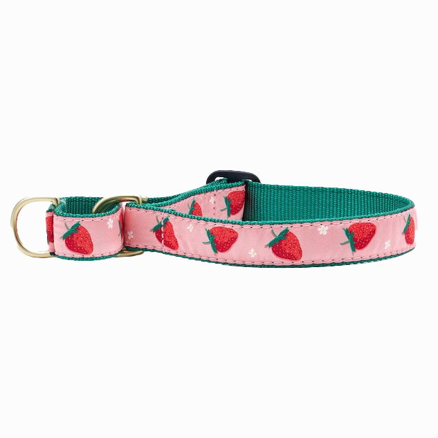 Martingale Collar | Strawberry Fields