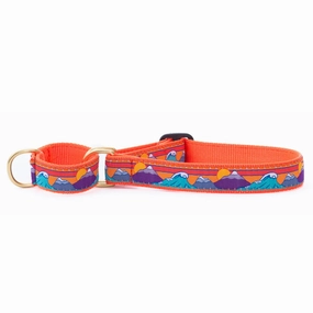 Martingale Collar | Surf & Ski