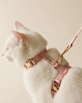 Meadow Matching Cat Harness & Leash Set