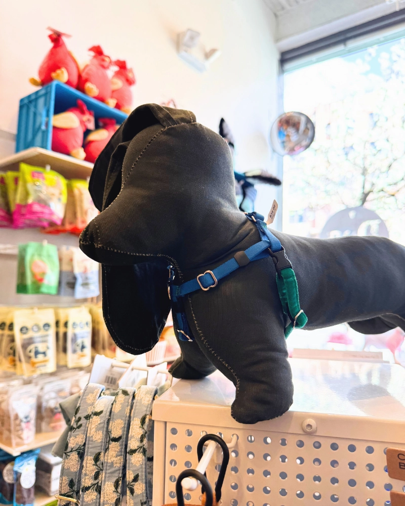Mini Freedom Dog Harness in Kelly Green   Royal Blue (Made in the USA)