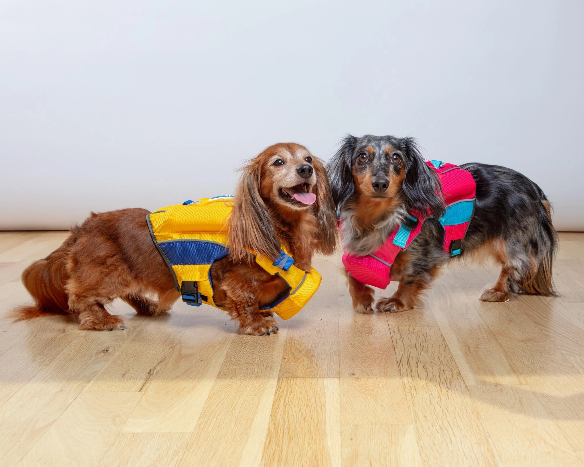 Monterey Bay Dog Life Jacket in Nautical Yellow