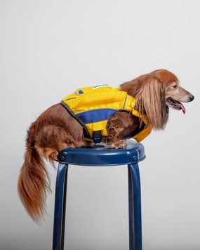 Monterey Bay Dog Life Jacket in Nautical Yellow