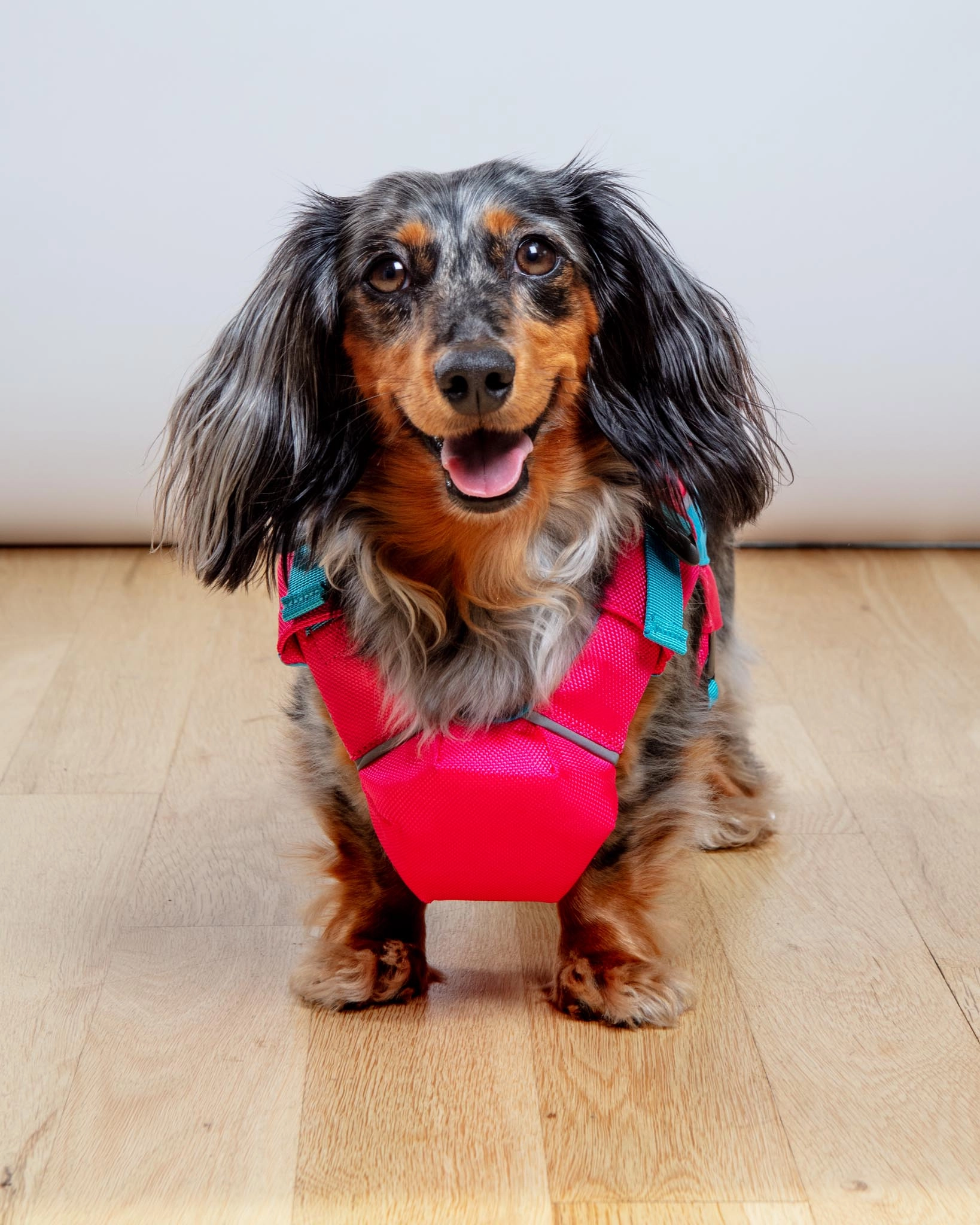 Monterey Bay Dog Life Jacket in Sunset Pink
