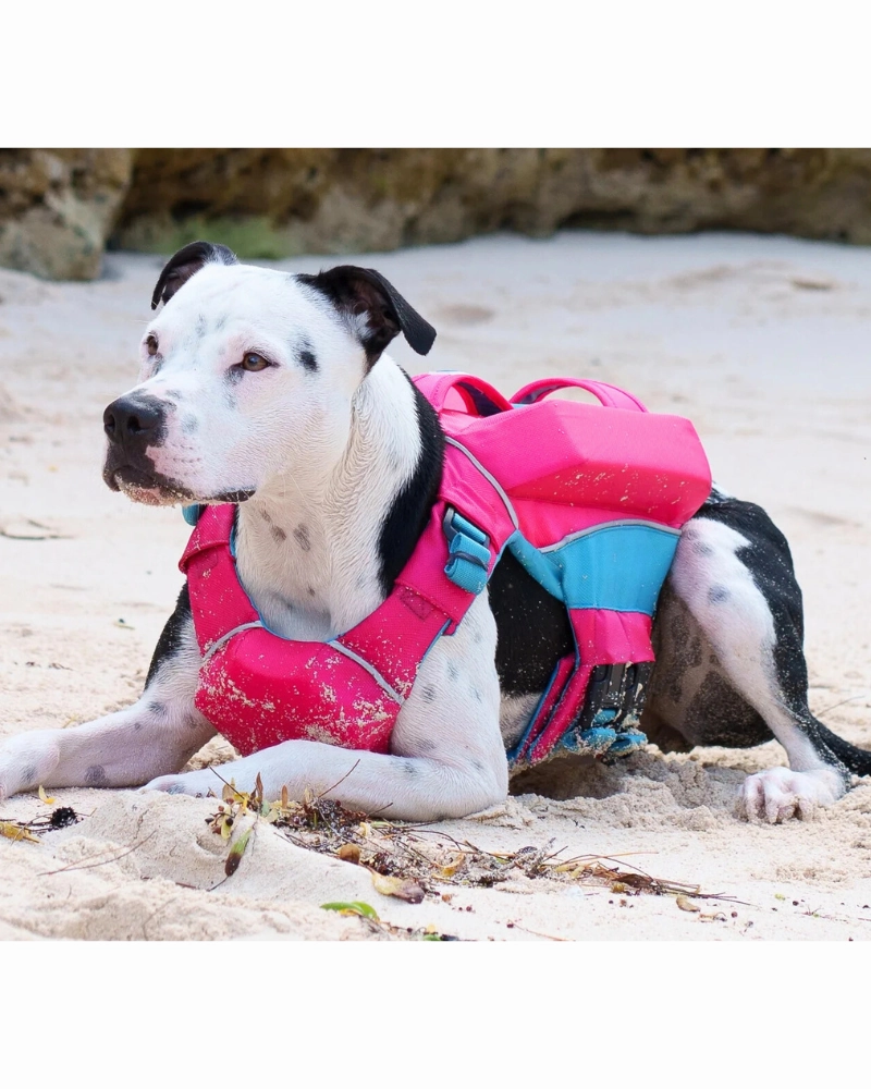 Monterey Bay Dog Life Jacket in Sunset Pink