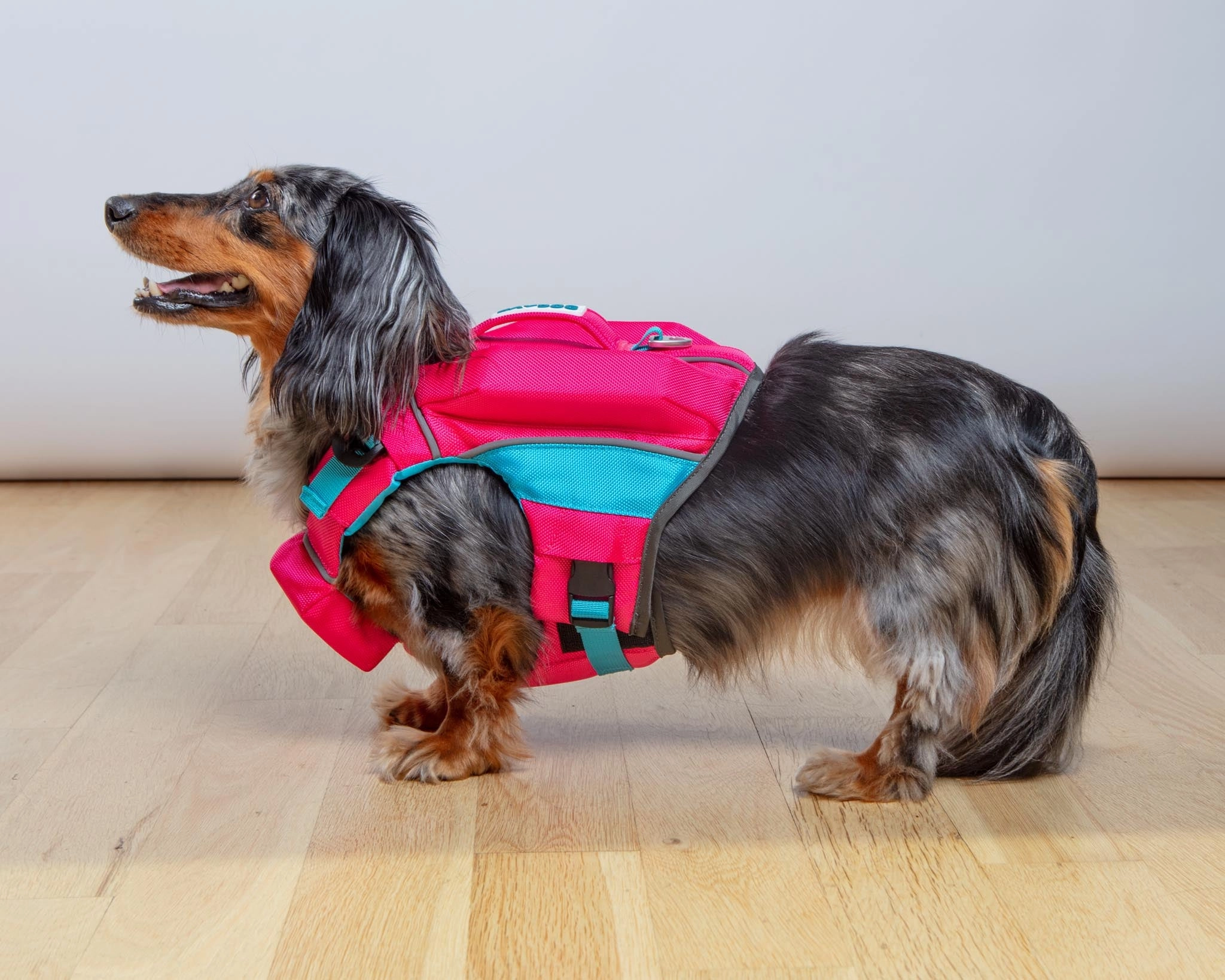 Monterey Bay Dog Life Jacket in Sunset Pink