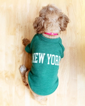 New York Dog Sweatshirt in Forest Heather
