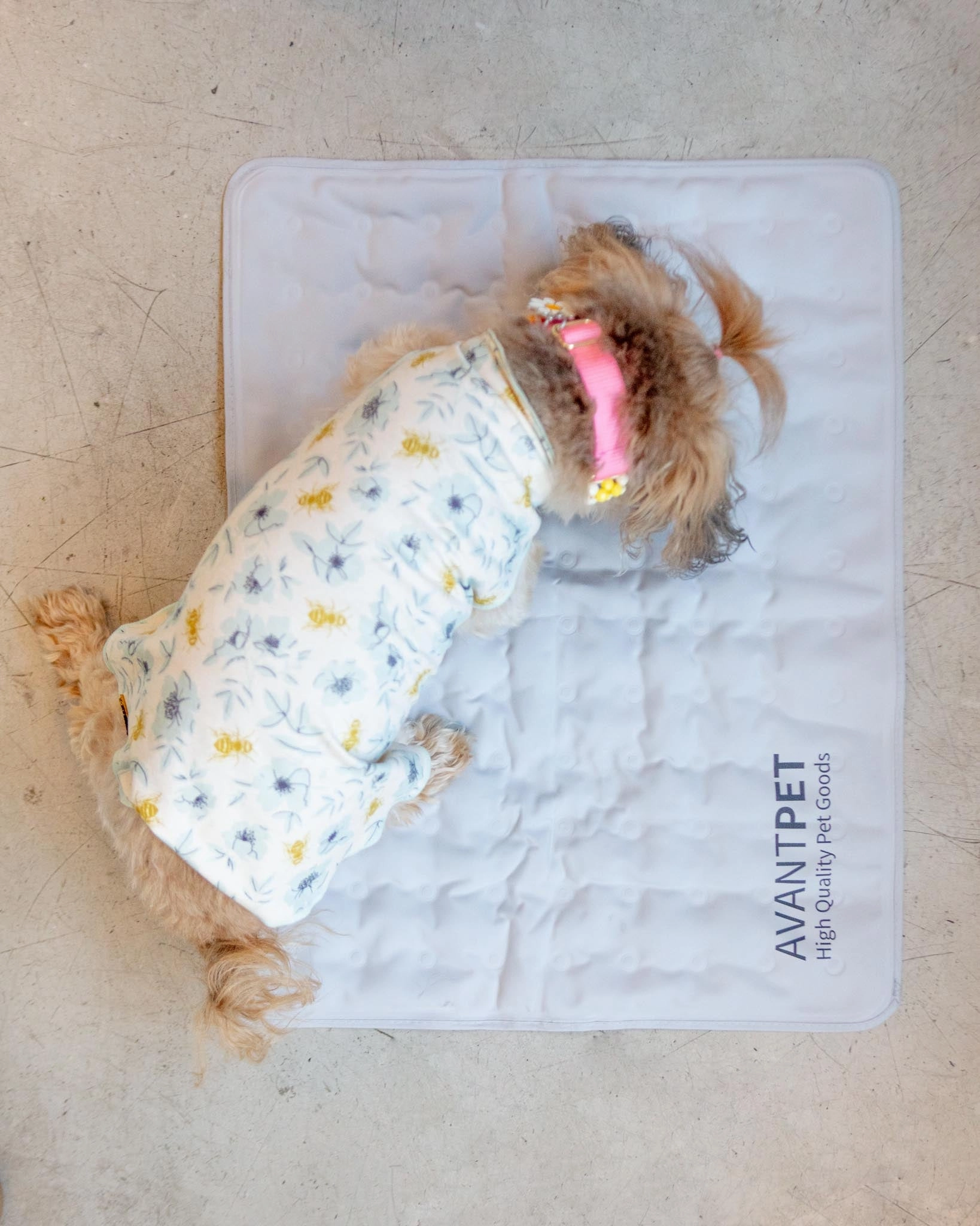 Non-Toxic Pet Cooling Mat (Made in Korea)