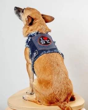 NYC Denim Dog Harness (Dog & Co. Exclusive)