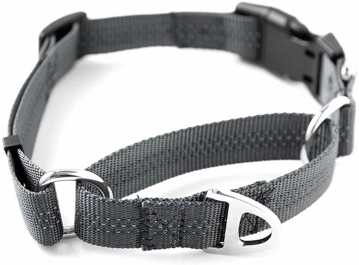 Nylon Martingale Cinch Collar