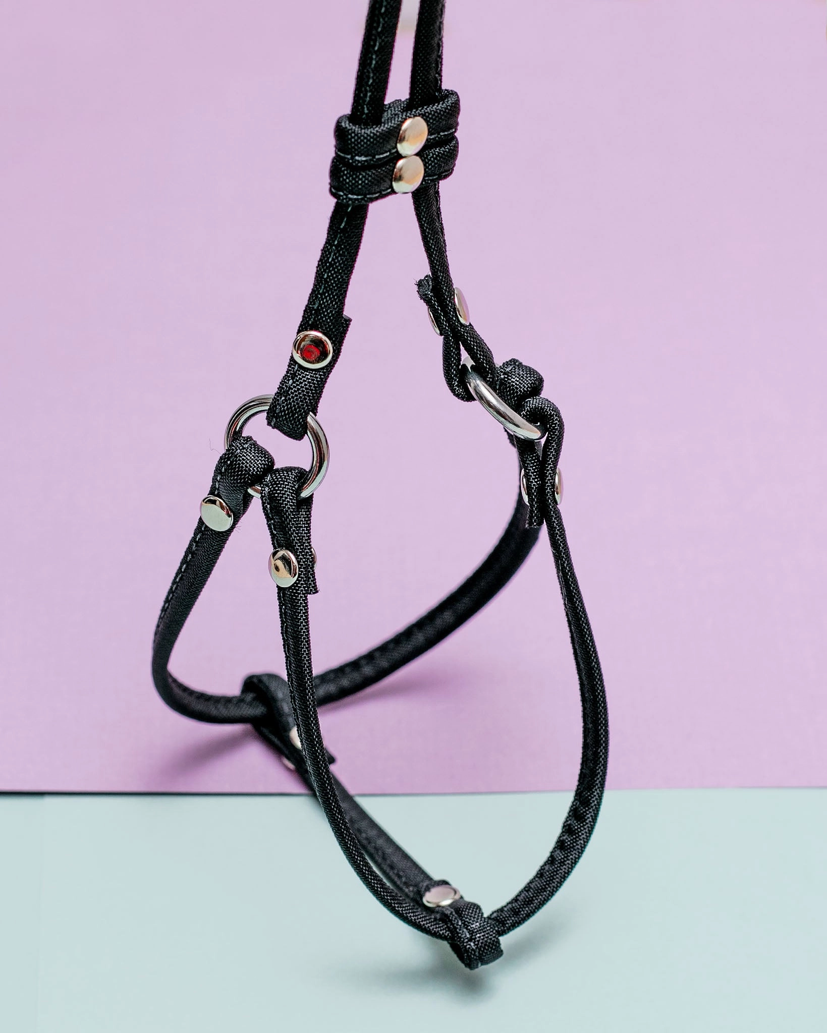 Nylon Step-In Adjustable Dog Harness in Black (Made in the USA)