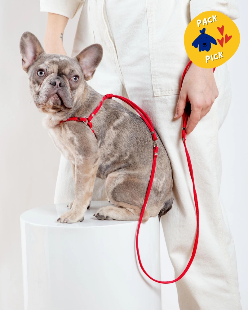 Nylon Step-In Adjustable Dog Harness in Red (Made in the USA)
