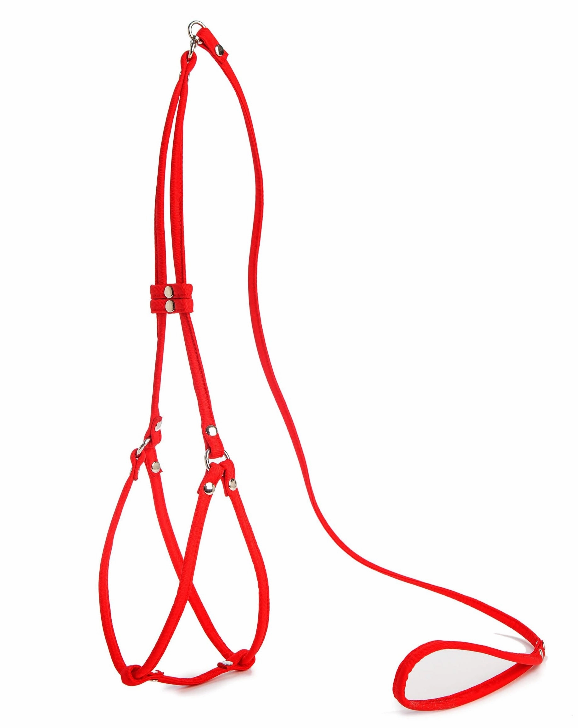 Nylon Step-In Adjustable Dog Harness in Red (Made in the USA)