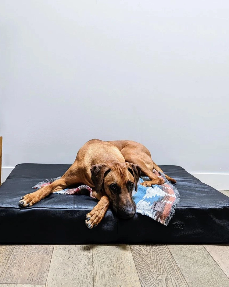 Orthopedic & Cooling Leather Dog Bed (Drop-Ship)