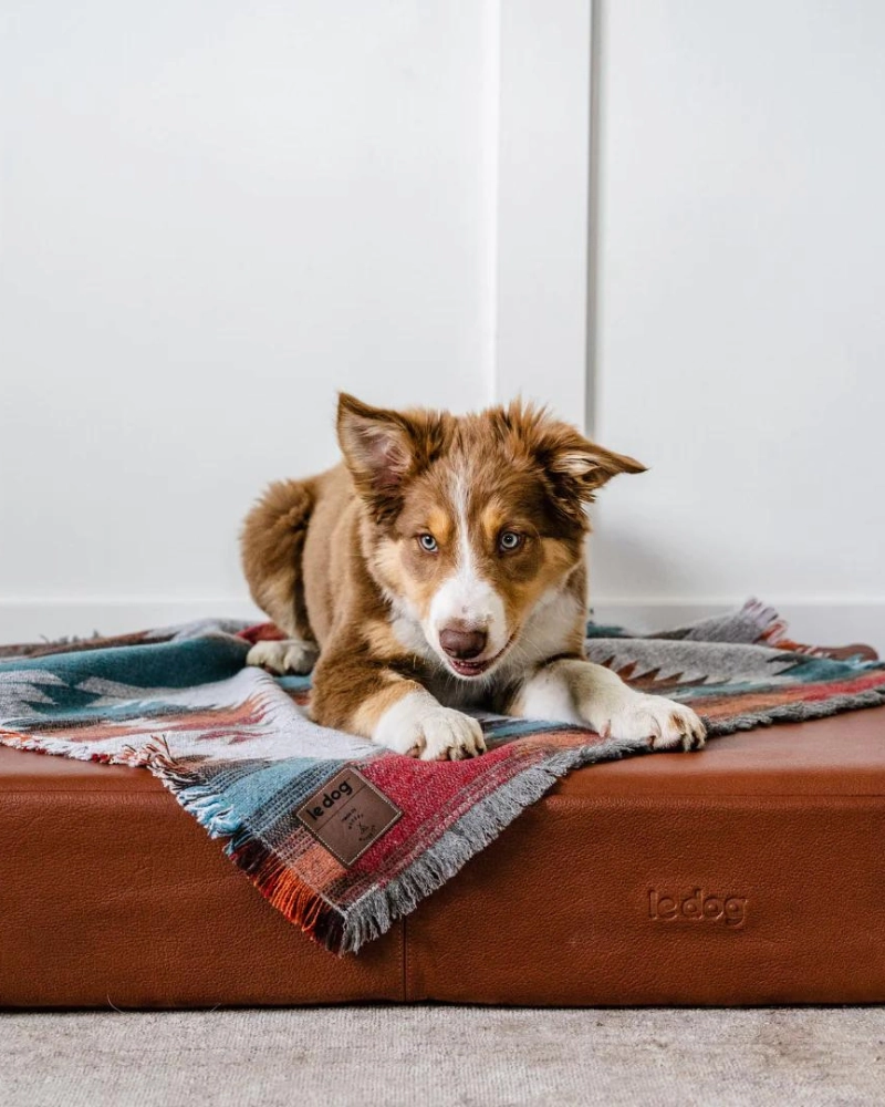 Orthopedic & Cooling Leather Dog Bed (Drop-Ship)