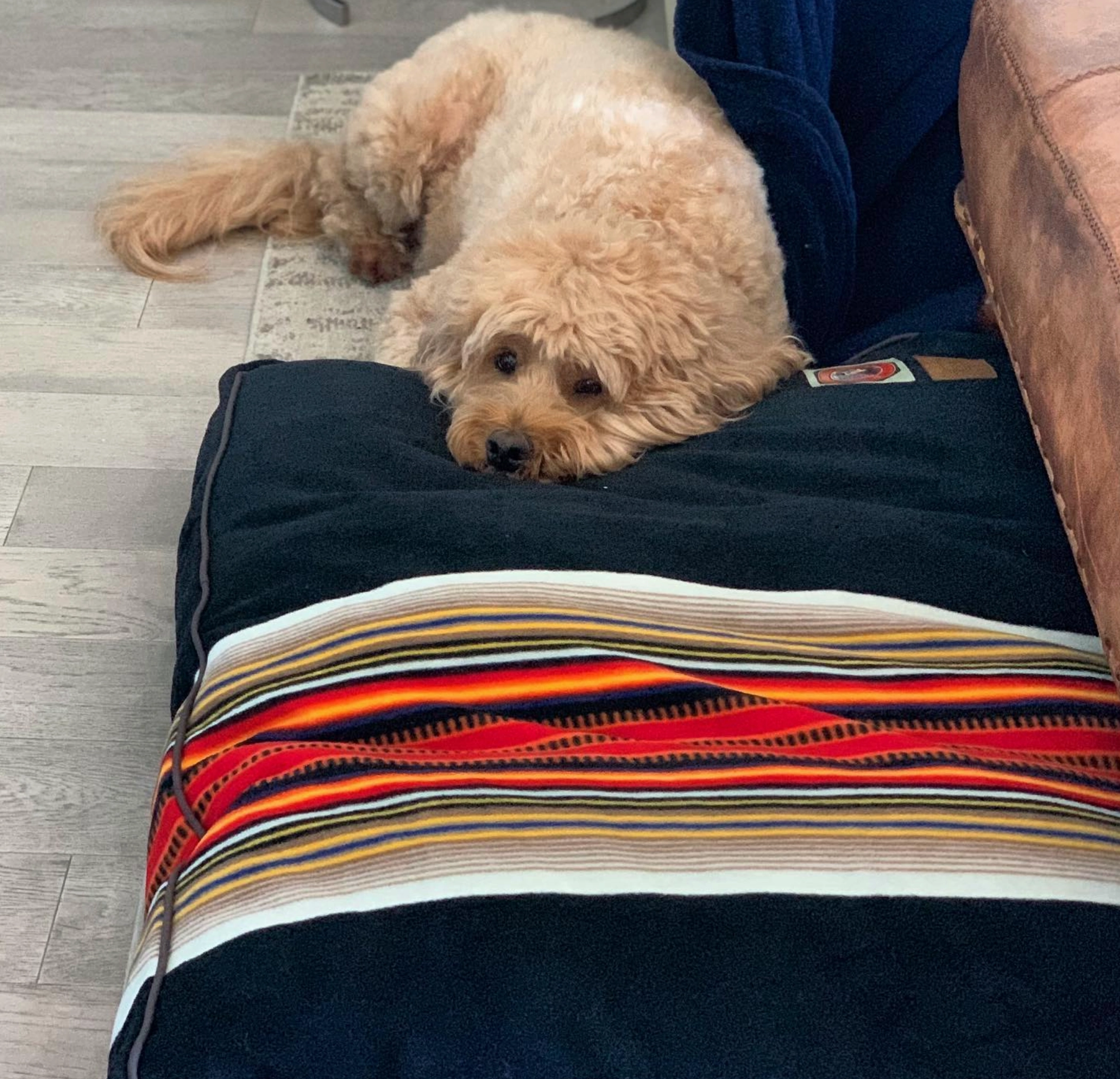 Pendleton Park Napper | Acadia