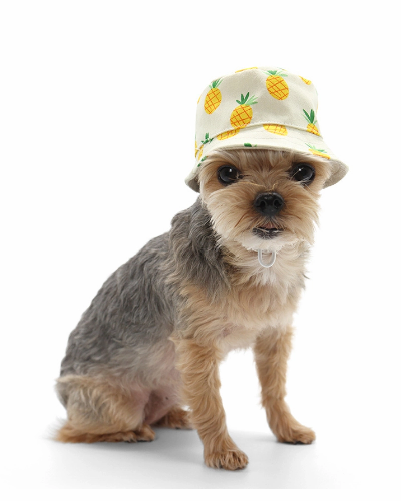 Pineapple Bucket Hat for Dogs