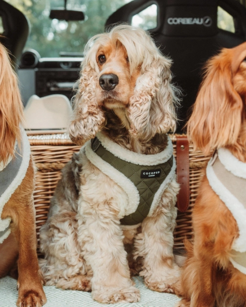 Quilted Adjustable Dog Harness in Khaki
