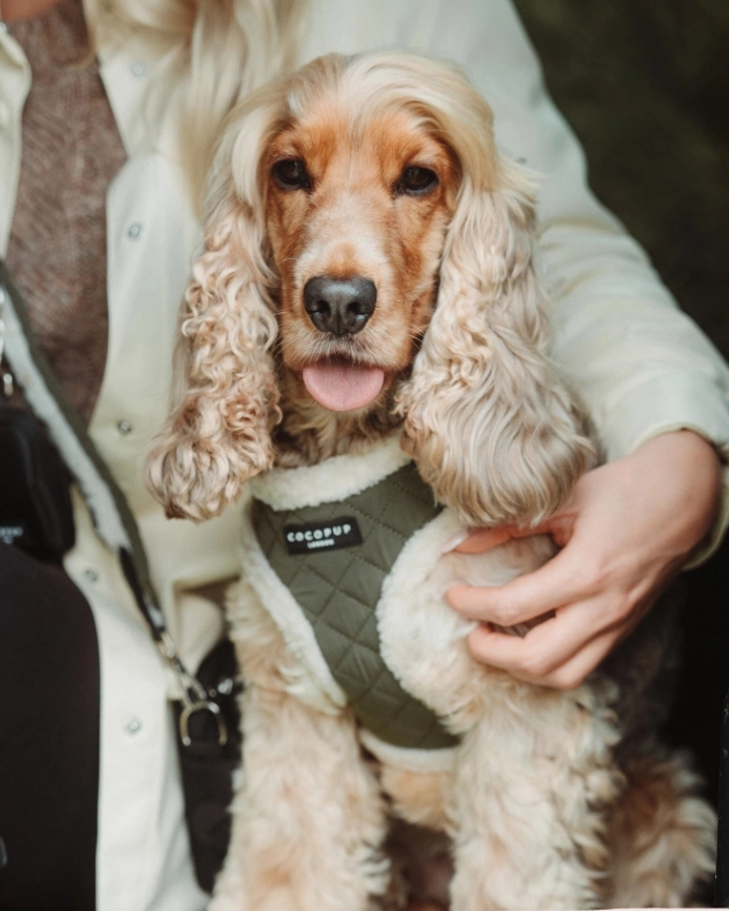 Quilted Adjustable Dog Harness in Khaki