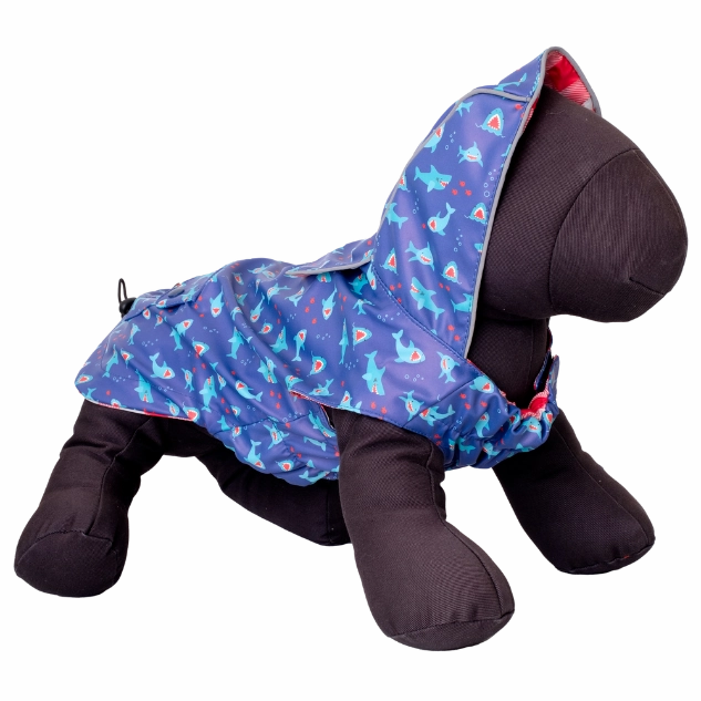 Raincoat | Chomp Sharks