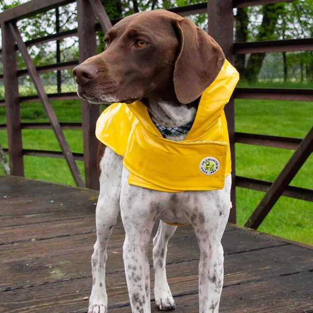 Raincoat Slicker | Yellow Striped Bone