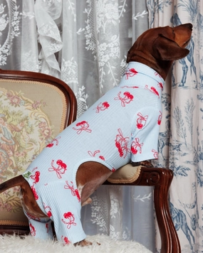Rest Assured Dog Onesie