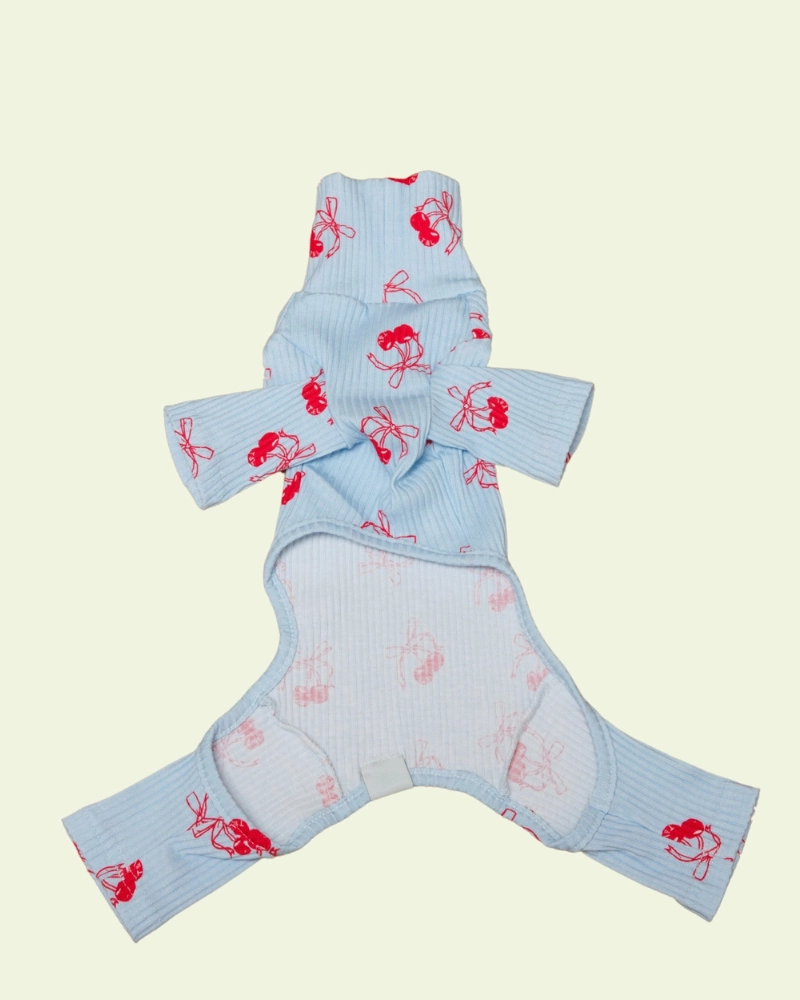 Rest Assured Dog Onesie