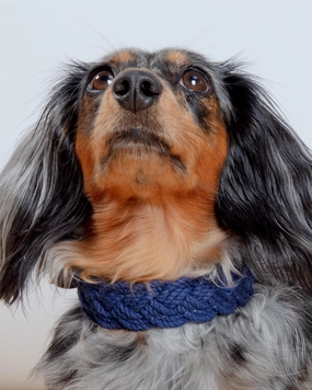 Seaside Cotton Woven Rope Dog Collar in Navy
