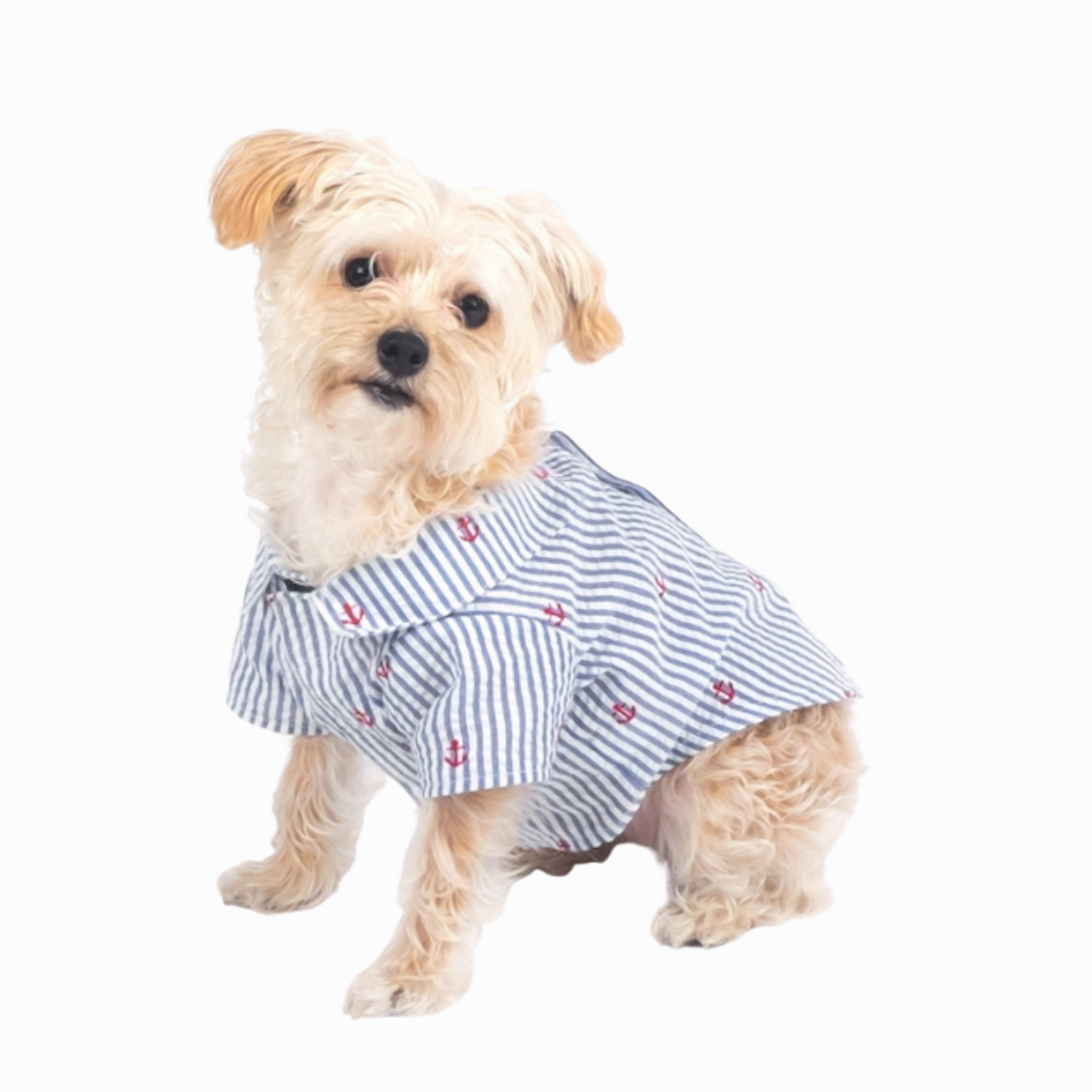 Shirt | Navy Stripe Anchors
