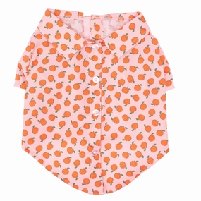 Shirt | Peachy Keen