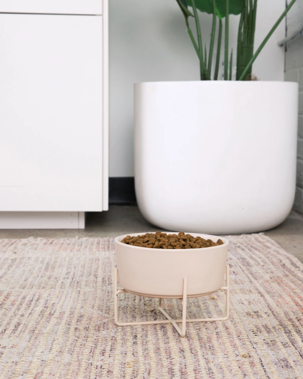 Simple Solid Bowl   Bowl Stand in Matte Buttercream