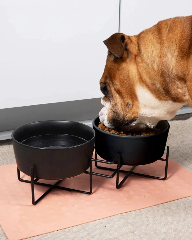 Simple Solid Double Feeder Bowl   Bowl Stand in Black