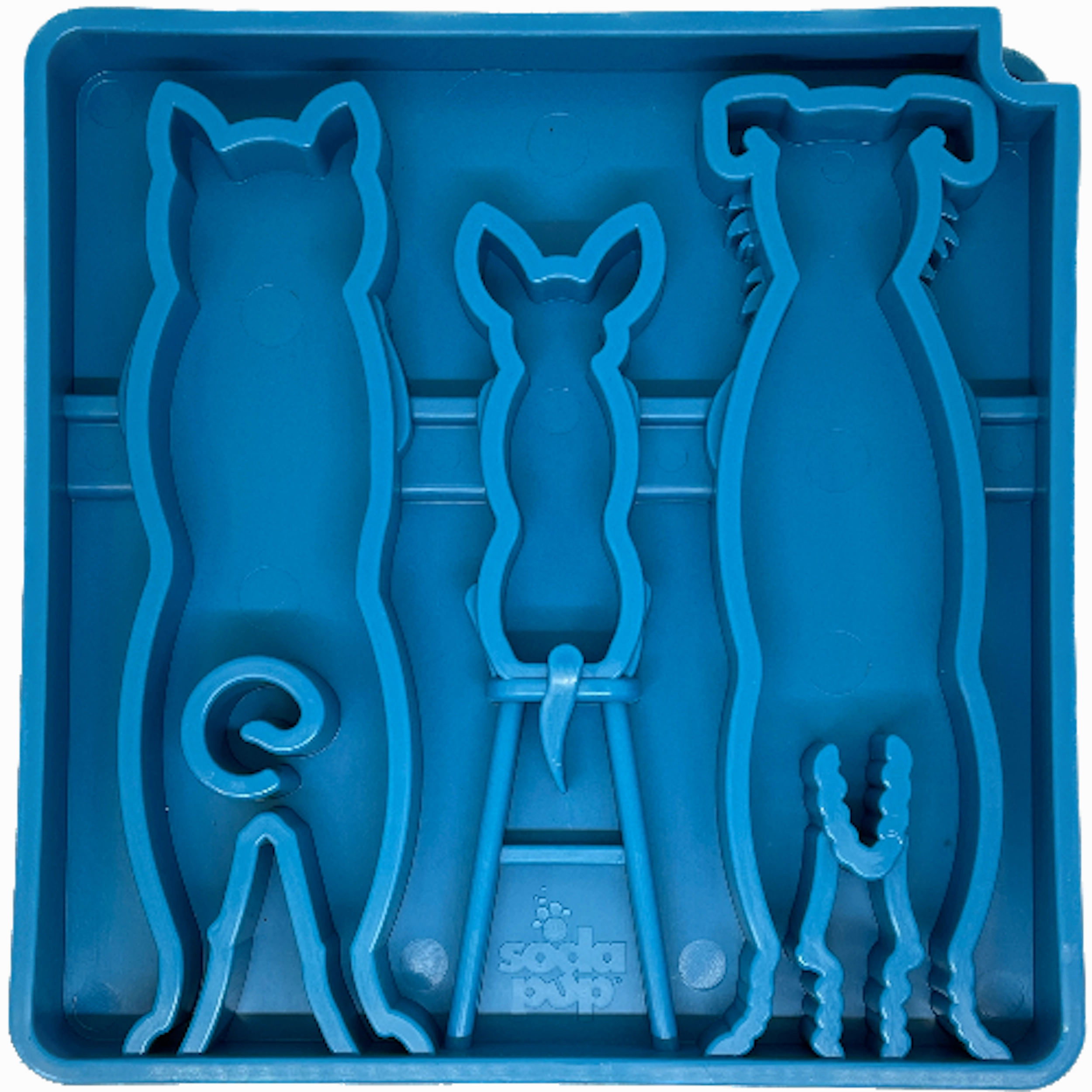 Snacking Tray | Waiting Dogs