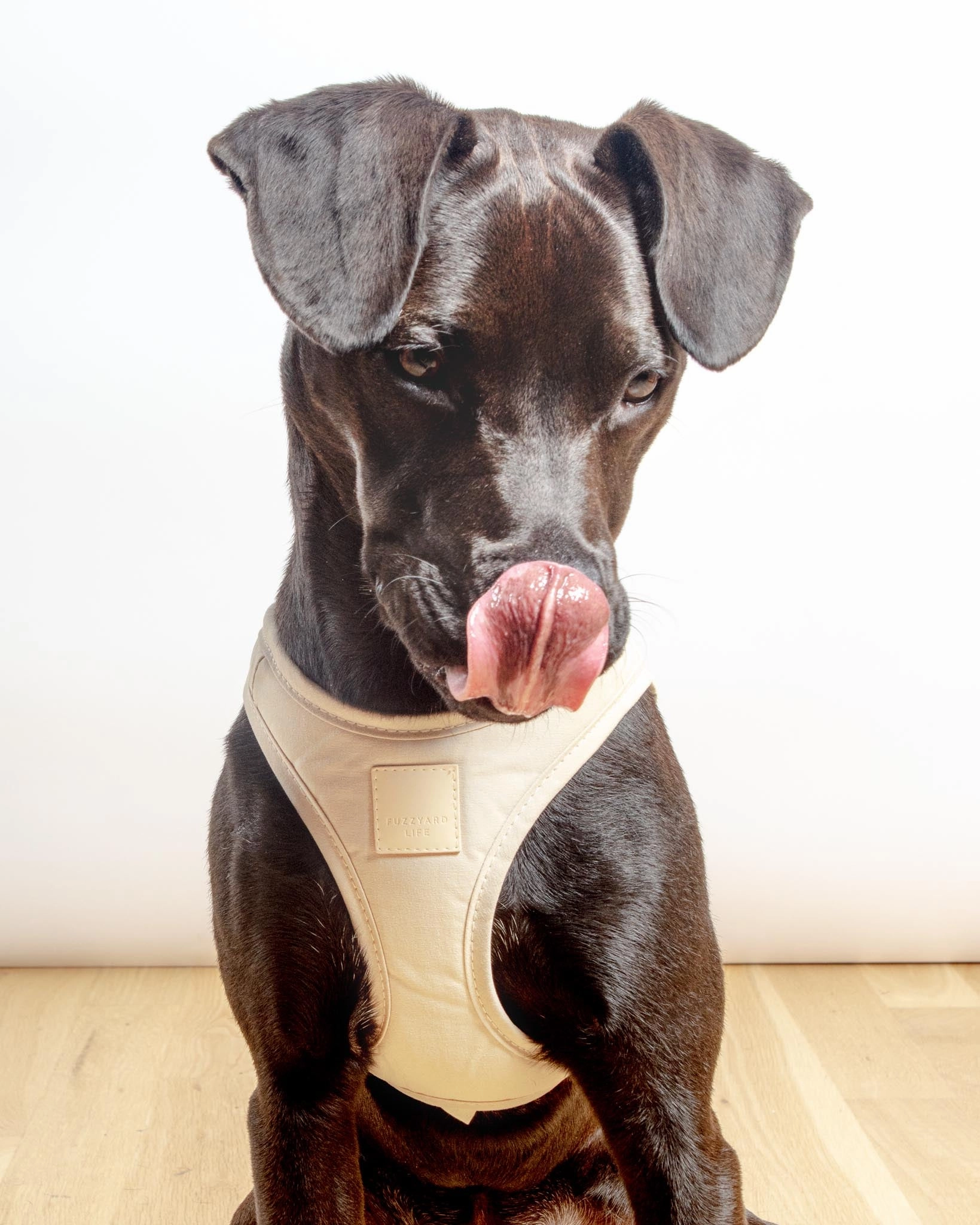 Soft Fabric Step-In Dog Harness in Sandstone, Myrtle Green, or Blush