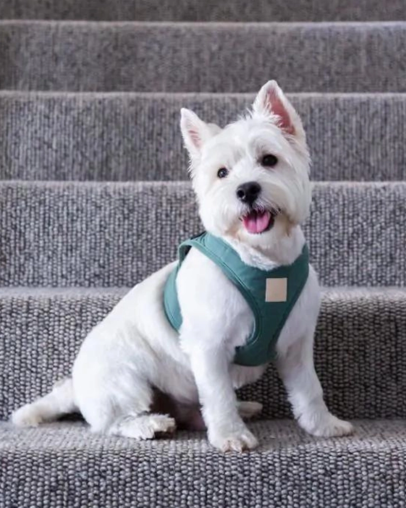Soft Fabric Step-In Dog Harness in Sandstone, Myrtle Green, or Blush