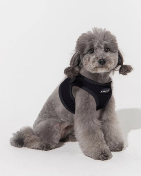 Soft Vest Dog Harness in Black