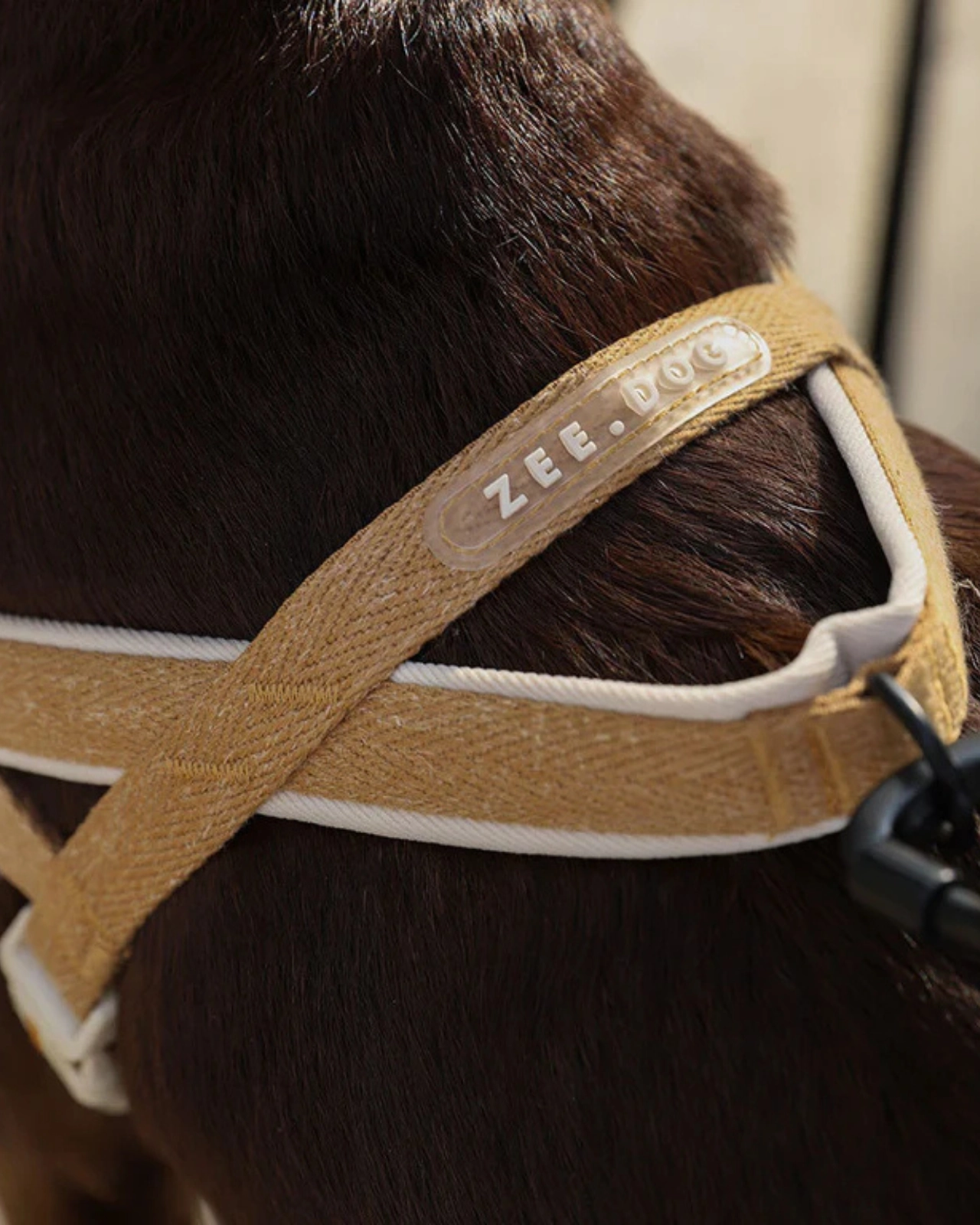 SofterWalk No-Pull Dog Harness in Dune (FINAL SALE)