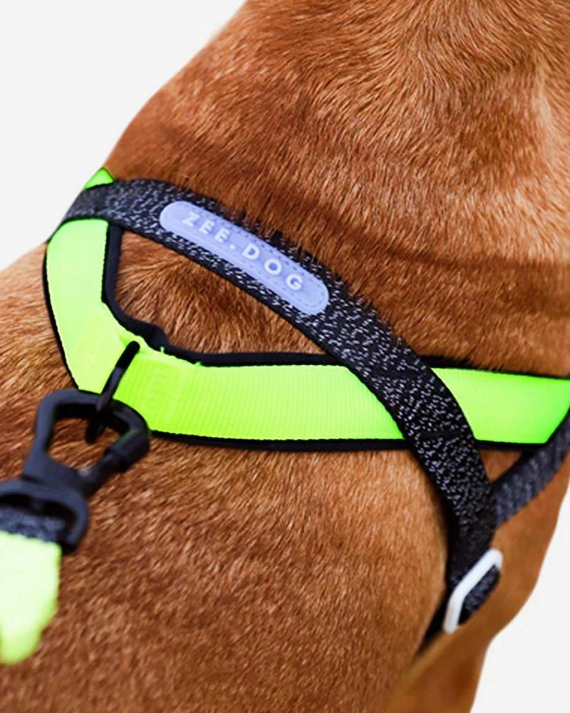 SofterWalk No-Pull Dog Harness in Reflective Nox