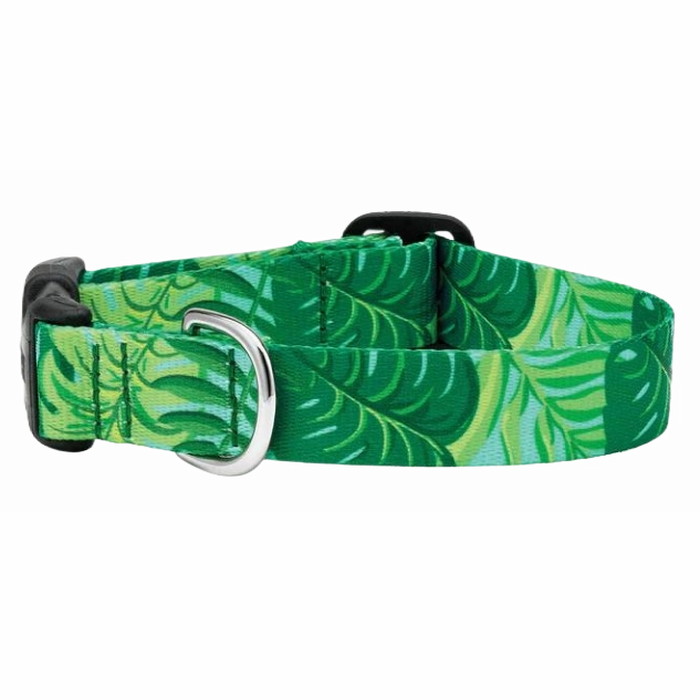 Sport Collar | Palms