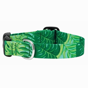 Sport Collar | Palms