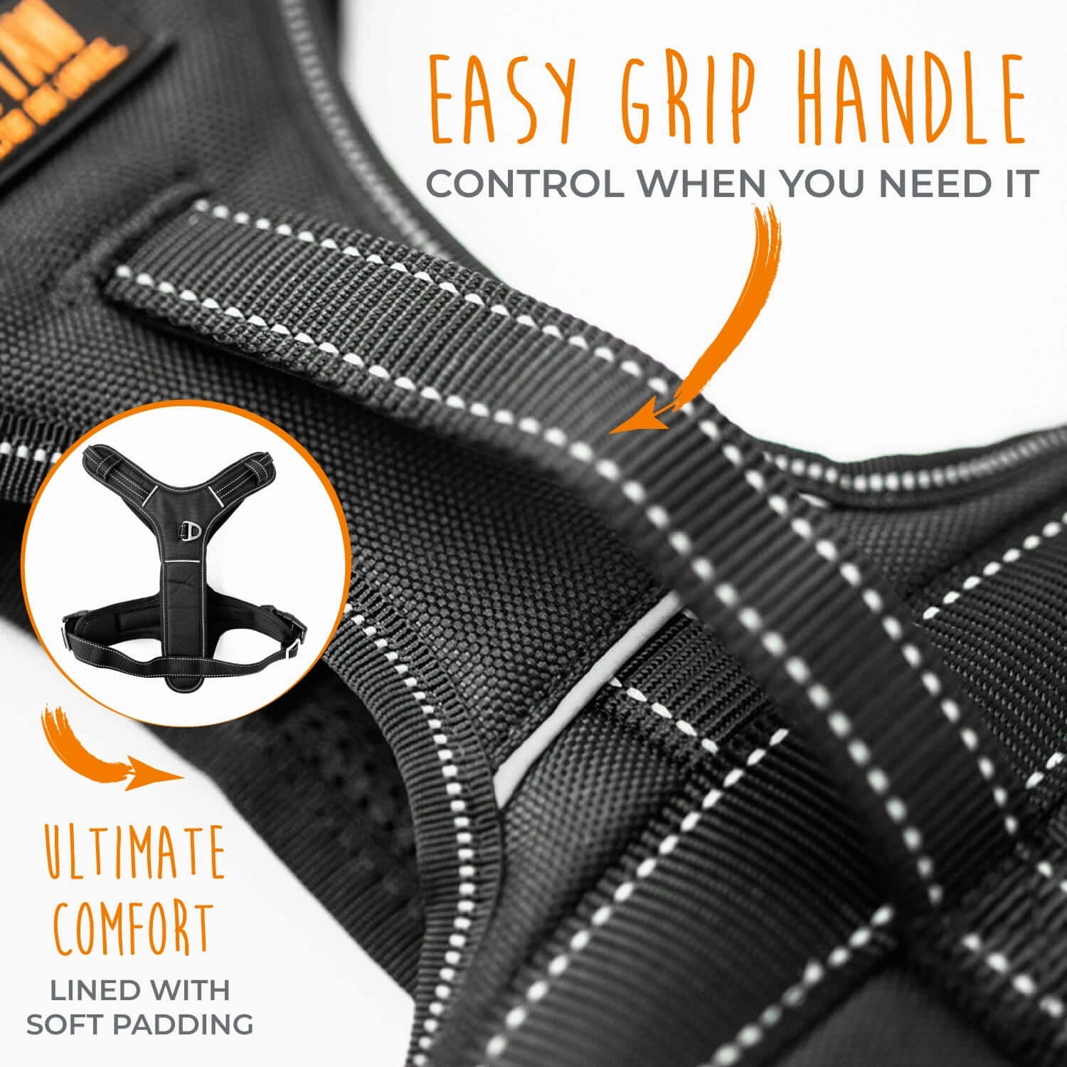 Sport Dog Harness 2.0