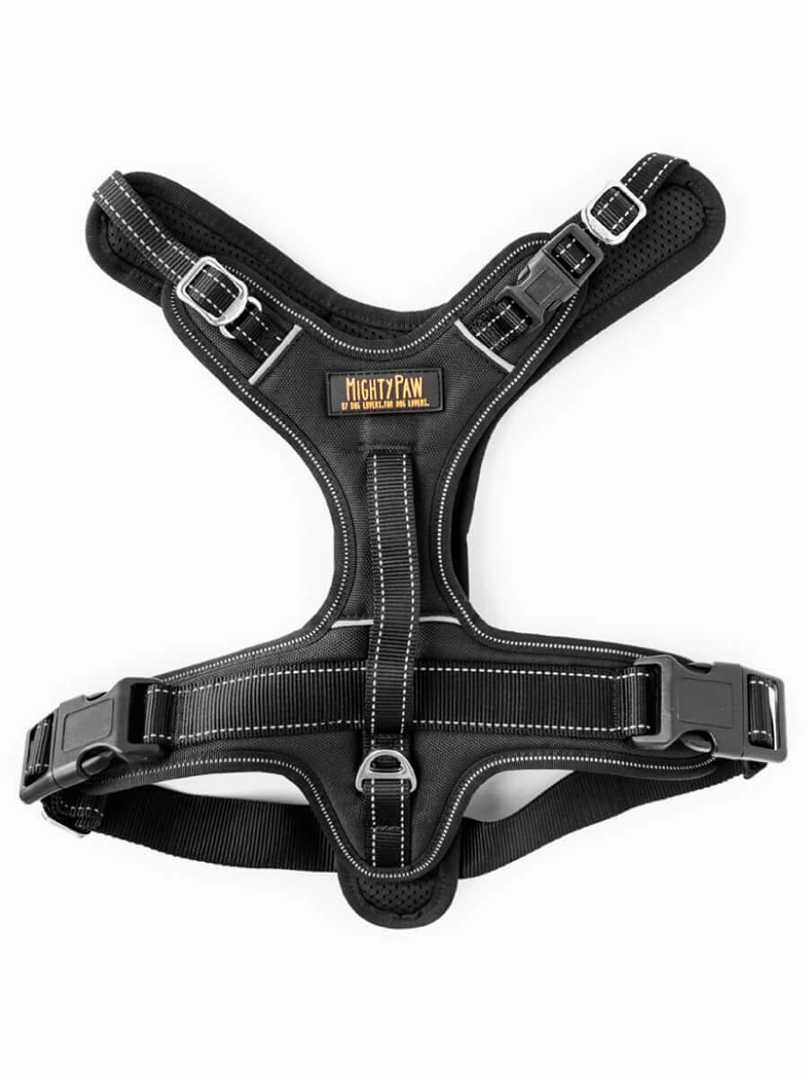 Sport Dog Harness 2.0