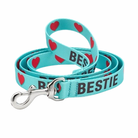 Sport Leash | Bestie
