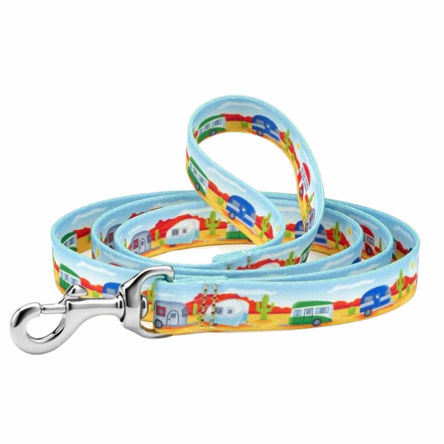 Sport Leash | Camp Out