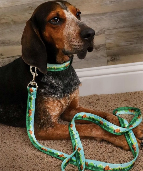 Sport Leash | Get Outdoors