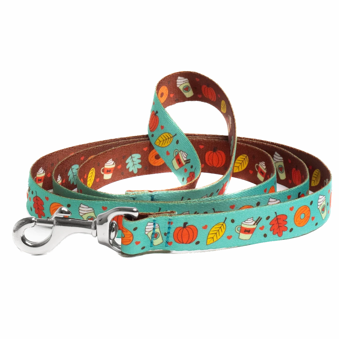 Sport Leash | Pumpkin Spice Mint
