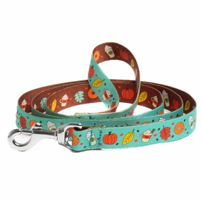 Sport Leash | Pumpkin Spice Mint