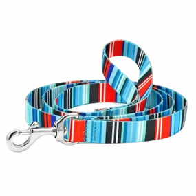 Sport Leash | Serape Stripe