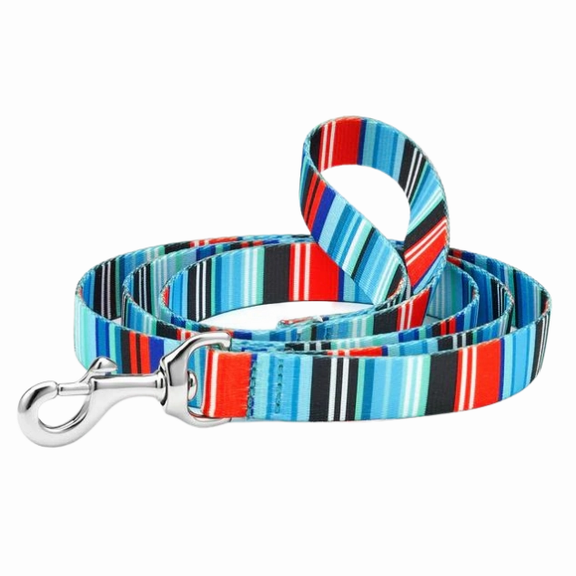 Sport Leash | Serape Stripe