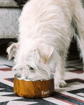 Stainless Steel Dog Bowl in Teakwood